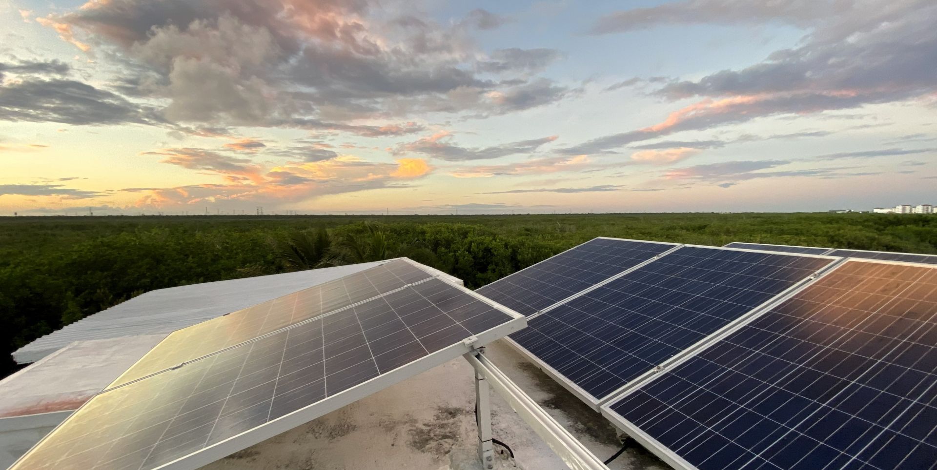 Paneles solares durante el atardecer